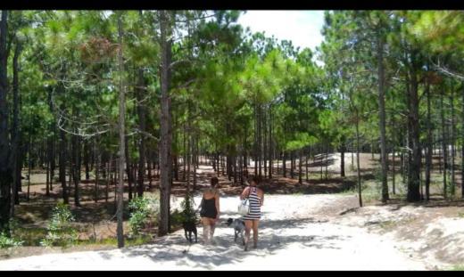 Camping Novas Palmeiras Florianópolis Екстериор снимка