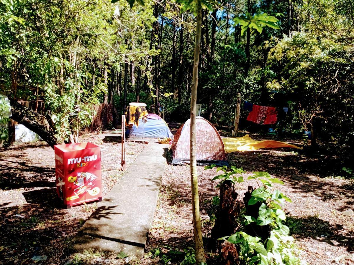 Camping Novas Palmeiras Florianópolis Екстериор снимка
